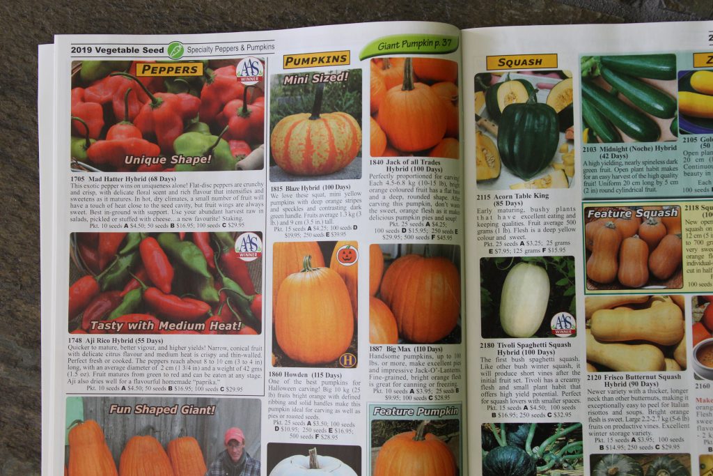 a seed catalog offering hybrid garden seeds