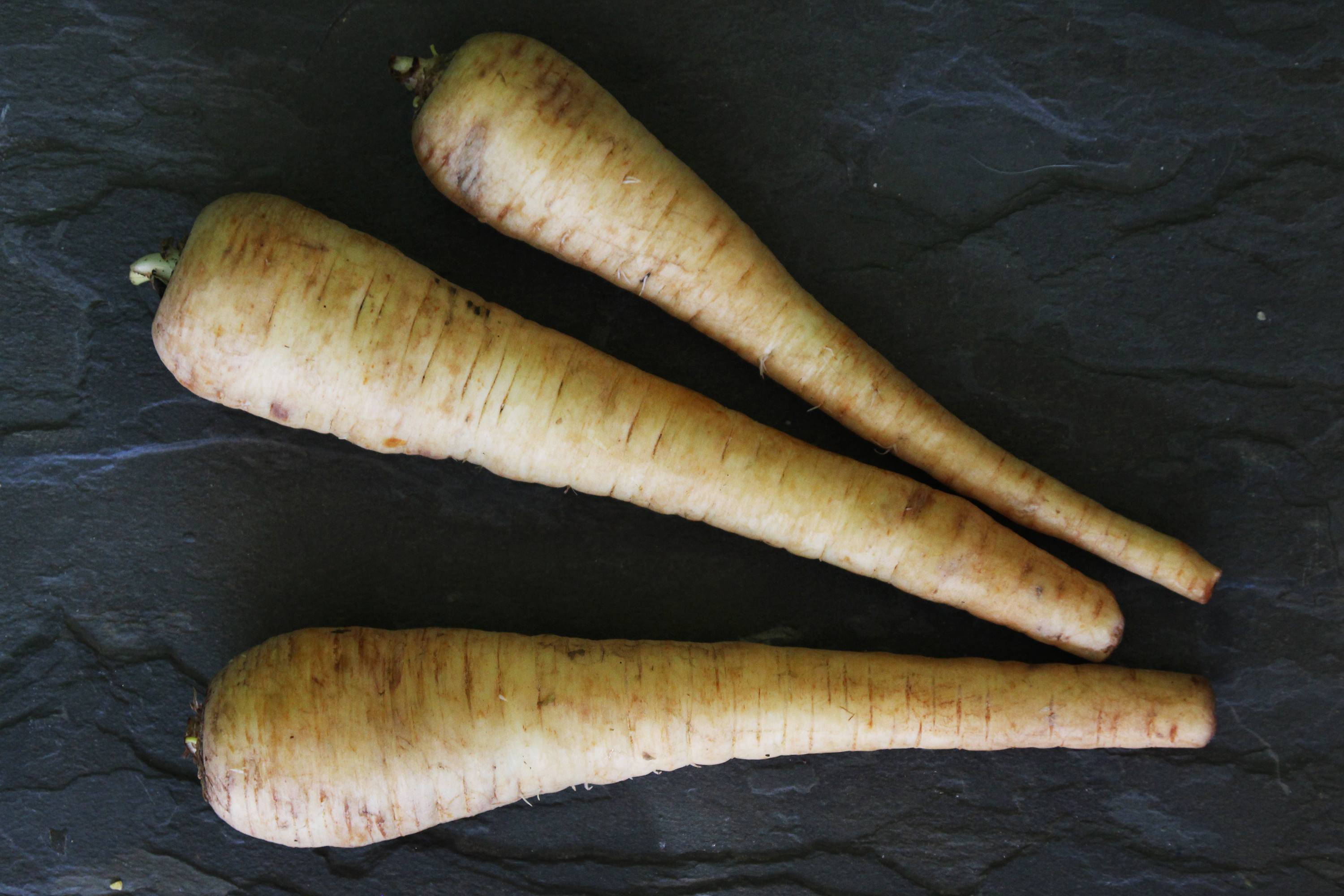 A photo of three parsnips