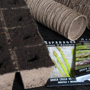 Asparagus seed packets and a tray of dirt.