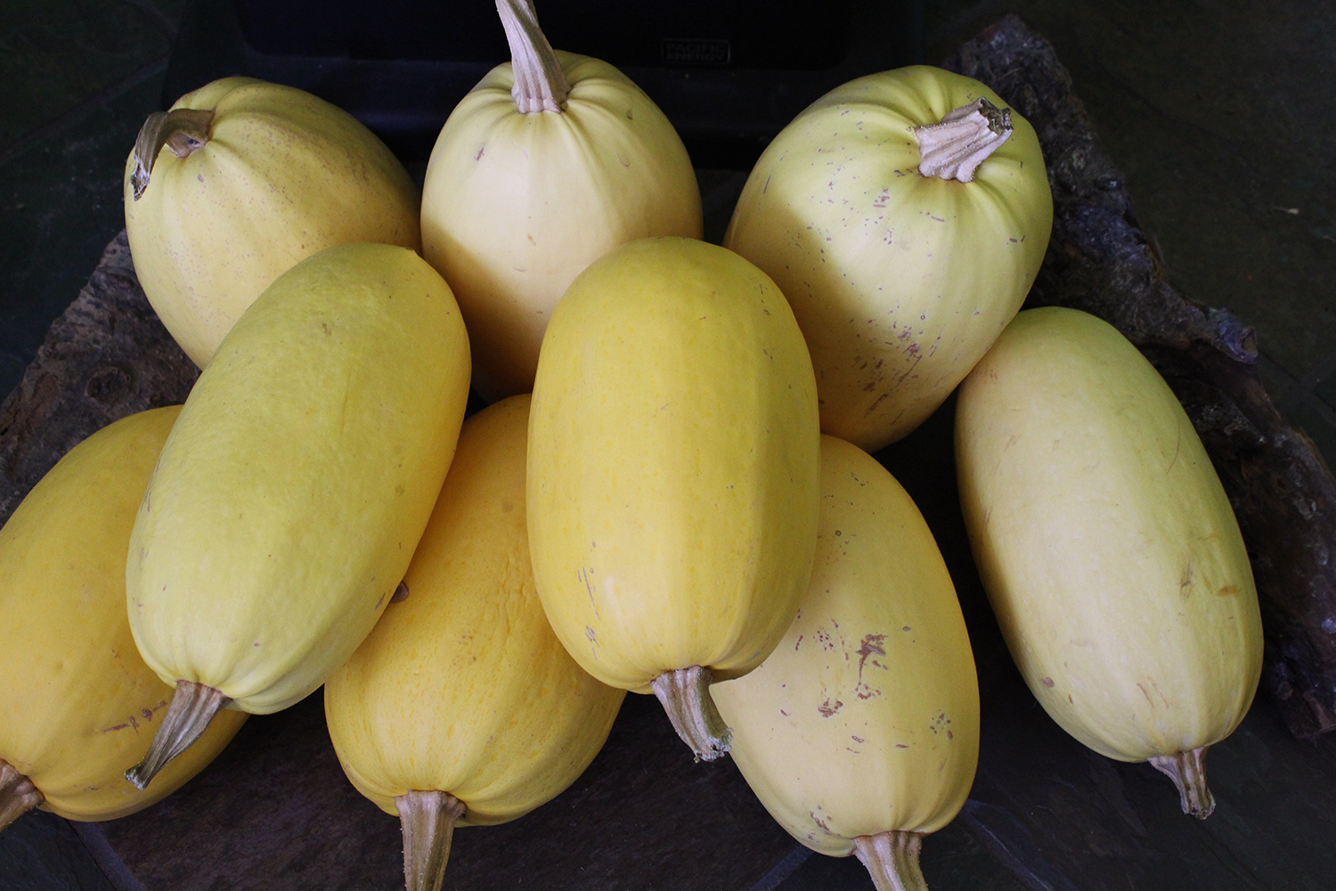 a stack of spaghetti squash - Rural Dreamsfrom our food storage