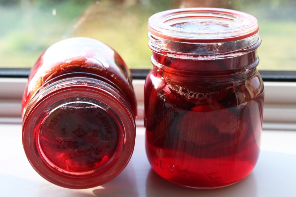 Two antique Gem pint jars of pickled plums, successfully canned using antique glass lids and Viceroy rubber gaskets.
