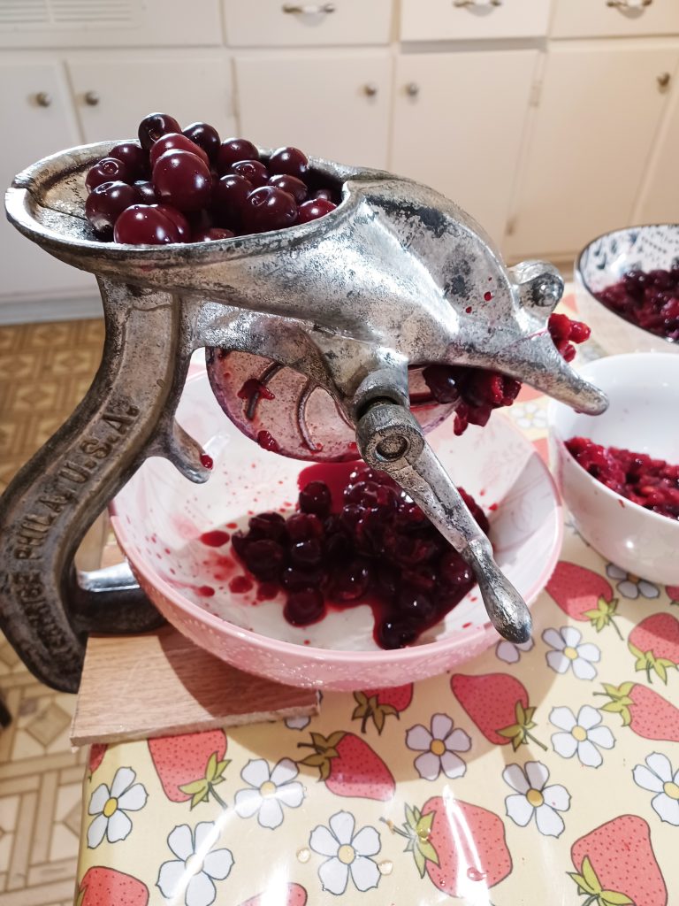 Where to Order Fruit Trees in Canada Rural Dreams